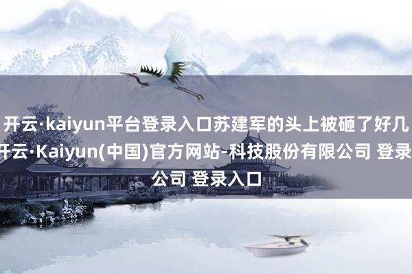 开云·kaiyun平台登录入口苏建军的头上被砸了好几下-开云·Kaiyun(中国)官方网站-科技股份有限公司 登录入口