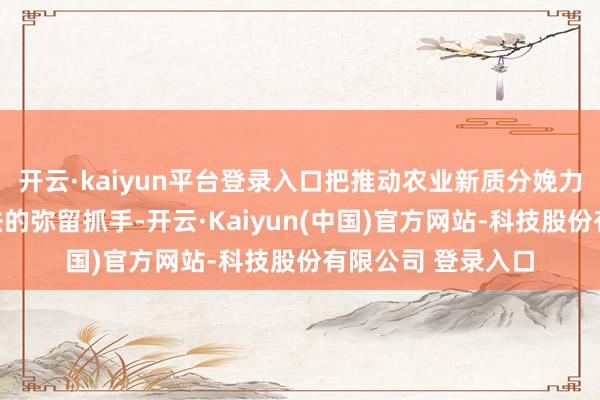 开云·kaiyun平台登录入口把推动农业新质分娩力发展作为履职守法的弥留抓手-开云·Kaiyun(中国)官方网站-科技股份有限公司 登录入口