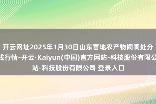 开云网址2025年1月30日山东喜地农产物阛阓处分有限公司价钱行情-开云·Kaiyun(中国)官方网站-科技股份有限公司 登录入口