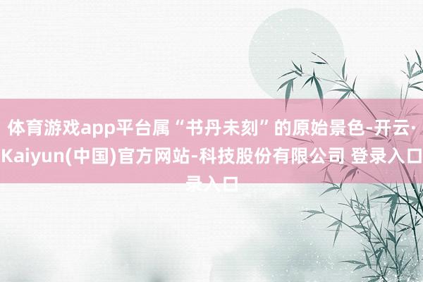 体育游戏app平台属“书丹未刻”的原始景色-开云·Kaiyun(中国)官方网站-科技股份有限公司 登录入口