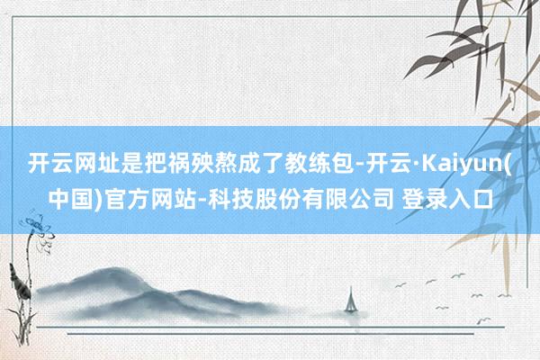 开云网址是把祸殃熬成了教练包-开云·Kaiyun(中国)官方网站-科技股份有限公司 登录入口