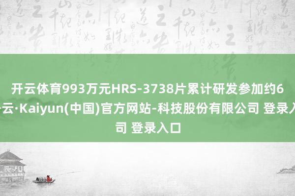 开云体育993万元HRS-3738片累计研发参加约6-开云·Kaiyun(中国)官方网站-科技股份有限公司 登录入口