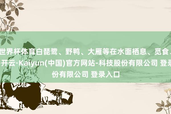 世界杯体育白琵鹭、野鸭、大雁等在水面栖息、觅食、飞翔-开云·Kaiyun(中国)官方网站-科技股份有限公司 登录入口